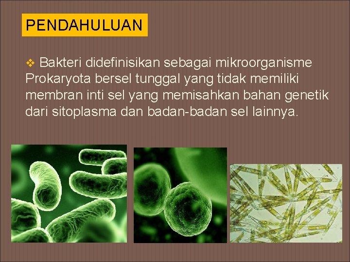 PENDAHULUAN v Bakteri didefinisikan sebagai mikroorganisme Prokaryota bersel tunggal yang tidak memiliki membran inti