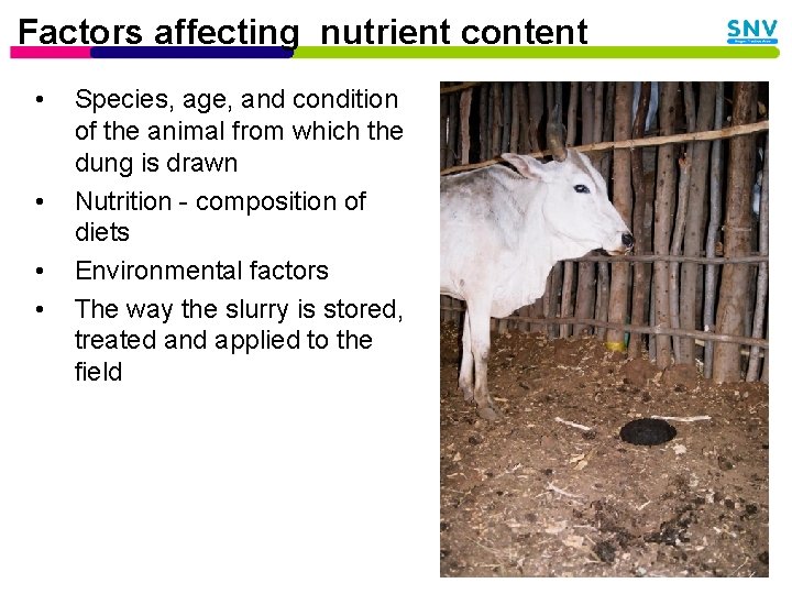 Factors affecting nutrient content • • Species, age, and condition of the animal from