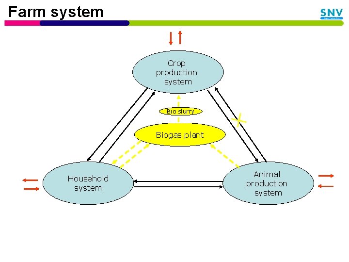 Farm system Crop production system Bio slurry Biogas plant Household system Animal production system