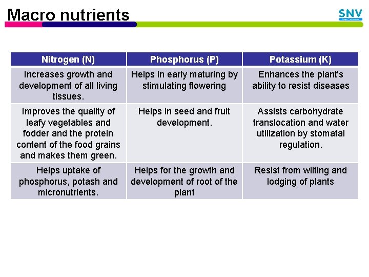 Macro nutrients Nitrogen (N) Phosphorus (P) Potassium (K) Increases growth and development of all