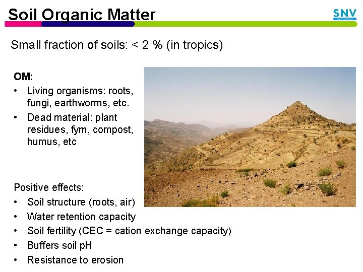 Soil Organic Matter Small fraction of soils: < 2 % (in tropics) OM: •