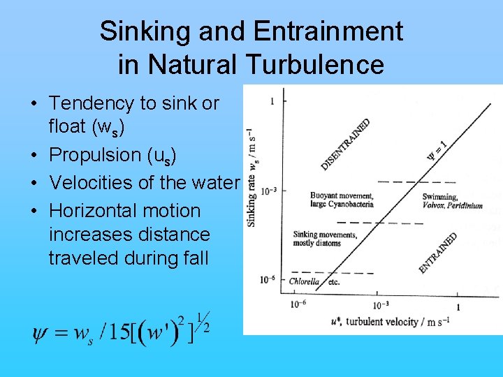 Sinking and Entrainment in Natural Turbulence • Tendency to sink or float (ws) •