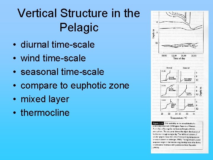 Vertical Structure in the Pelagic • • • diurnal time-scale wind time-scale seasonal time-scale