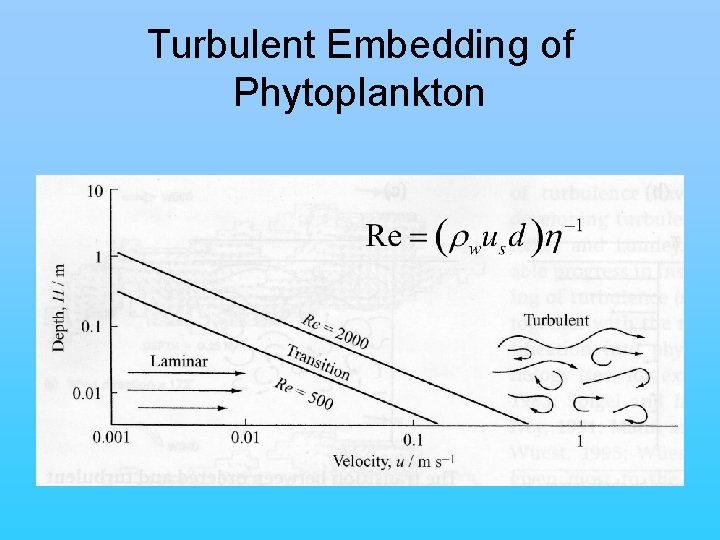 Turbulent Embedding of Phytoplankton 