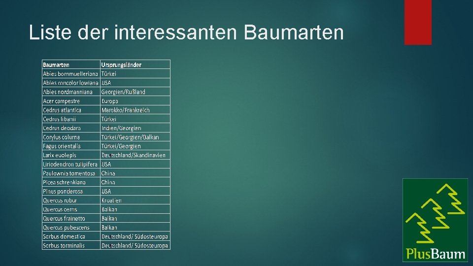 Liste der interessanten Baumarten 