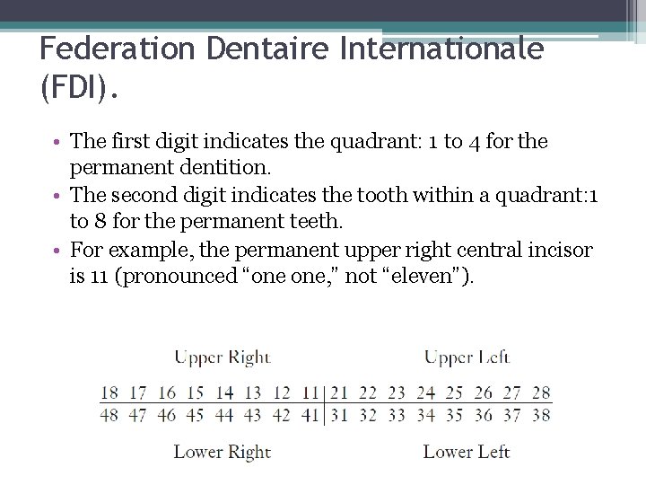 Federation Dentaire Internationale (FDI). • The first digit indicates the quadrant: 1 to 4