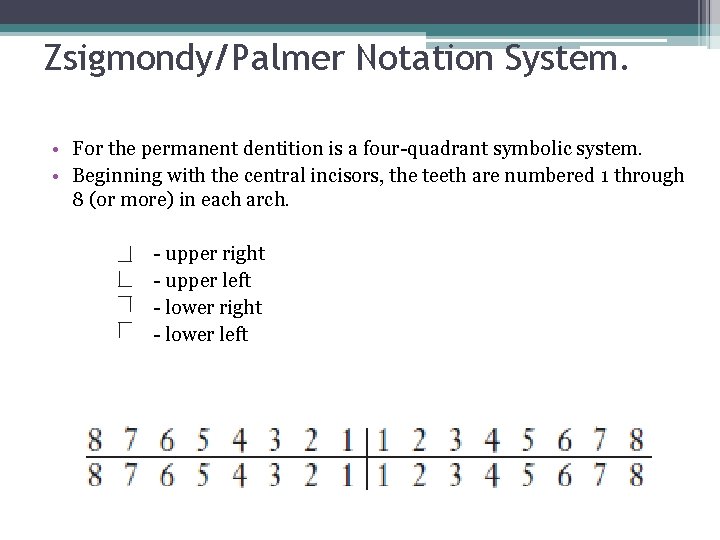 Zsigmondy/Palmer Notation System. • For the permanent dentition is a four-quadrant symbolic system. •