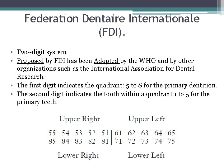 Federation Dentaire Internationale (FDI). • Two-digit system. • Proposed by FDI has been Adopted