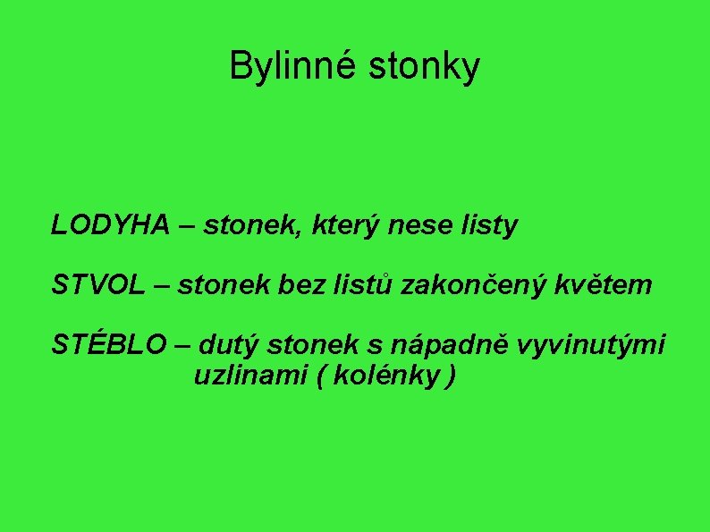 Bylinné stonky LODYHA – stonek, který nese listy STVOL – stonek bez listů zakončený