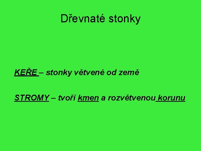 Dřevnaté stonky KEŘE – stonky větvené od země STROMY – tvoří kmen a rozvětvenou