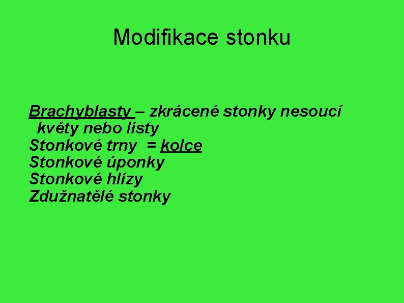 Modifikace stonku Brachyblasty – zkrácené stonky nesoucí květy nebo listy Stonkové trny = kolce