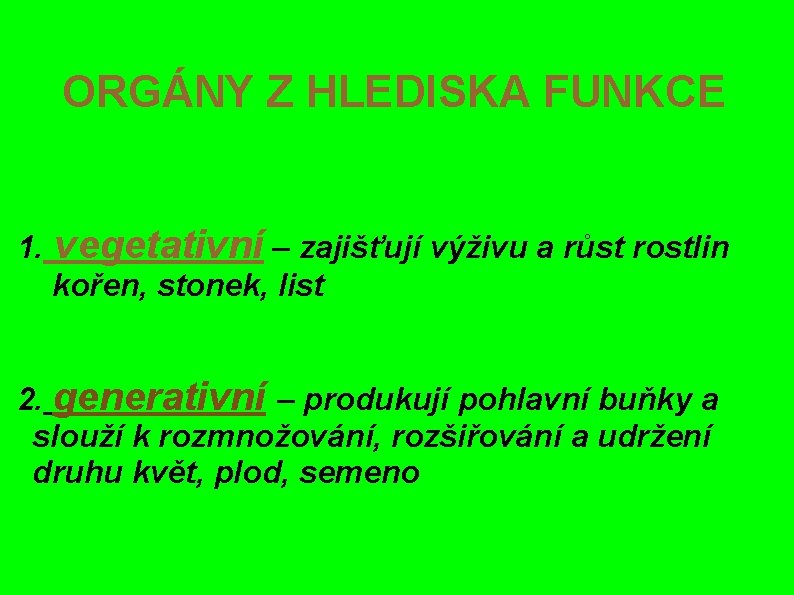 ORGÁNY Z HLEDISKA FUNKCE 1. vegetativní – zajišťují výživu a růst rostlin kořen, stonek,