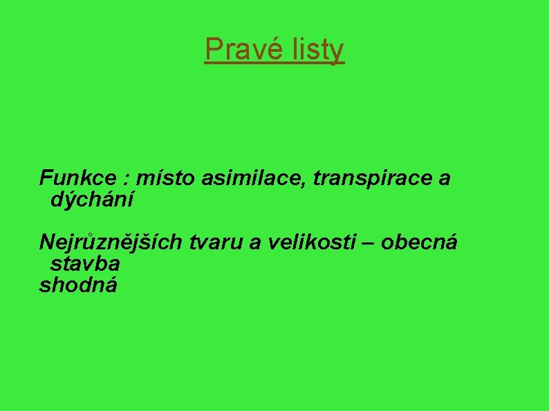 Pravé listy Funkce : místo asimilace, transpirace a dýchání Nejrůznějších tvaru a velikosti –