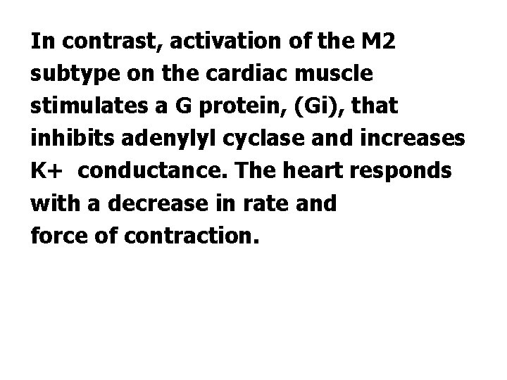 In contrast, activation of the M 2 subtype on the cardiac muscle stimulates a