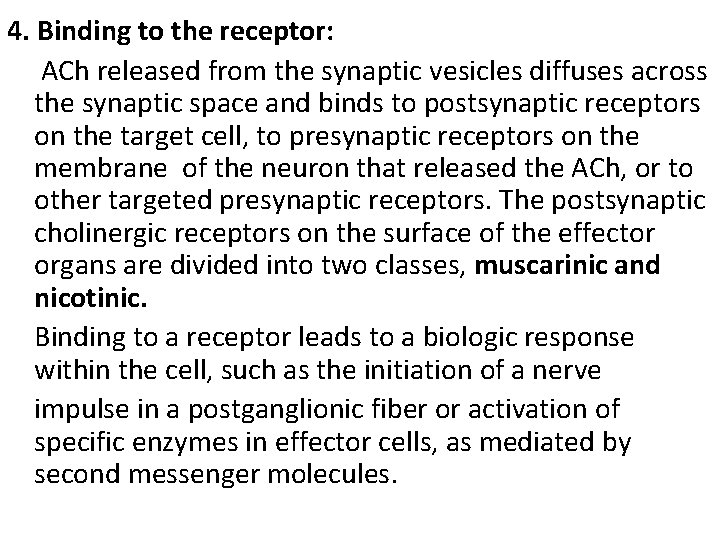 4. Binding to the receptor: ACh released from the synaptic vesicles diffuses across the