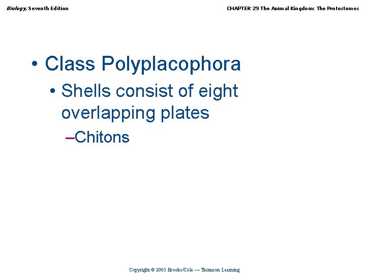 Biology, Seventh Edition CHAPTER 29 The Animal Kingdom: The Protostomes • Class Polyplacophora •