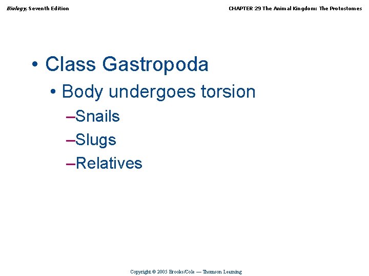 Biology, Seventh Edition CHAPTER 29 The Animal Kingdom: The Protostomes • Class Gastropoda •