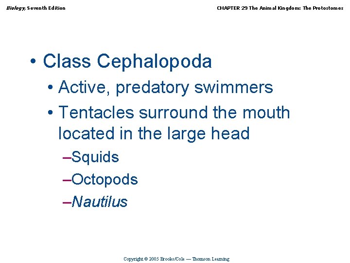 Biology, Seventh Edition CHAPTER 29 The Animal Kingdom: The Protostomes • Class Cephalopoda •