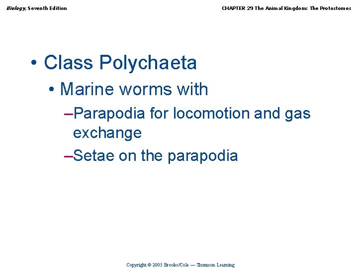 Biology, Seventh Edition CHAPTER 29 The Animal Kingdom: The Protostomes • Class Polychaeta •