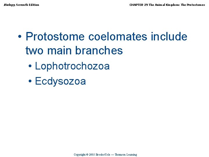 Biology, Seventh Edition CHAPTER 29 The Animal Kingdom: The Protostomes • Protostome coelomates include
