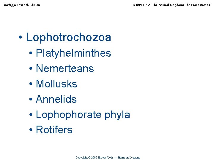 Biology, Seventh Edition CHAPTER 29 The Animal Kingdom: The Protostomes • Lophotrochozoa • Platyhelminthes