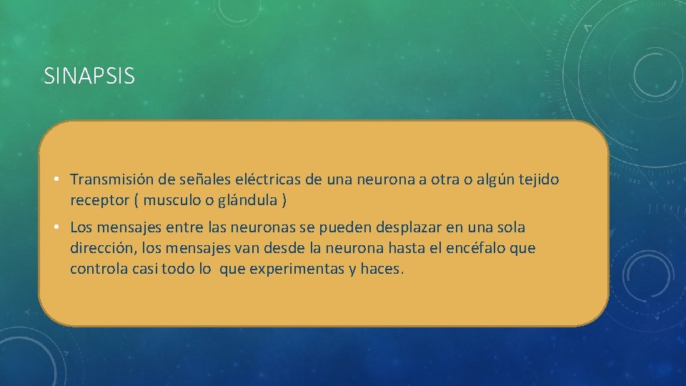 SINAPSIS • Transmisión de señales eléctricas de una neurona a otra o algún tejido