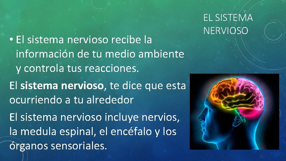  • El sistema nervioso recibe la información de tu medio ambiente y controla