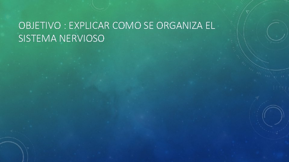 OBJETIVO : EXPLICAR COMO SE ORGANIZA EL SISTEMA NERVIOSO 