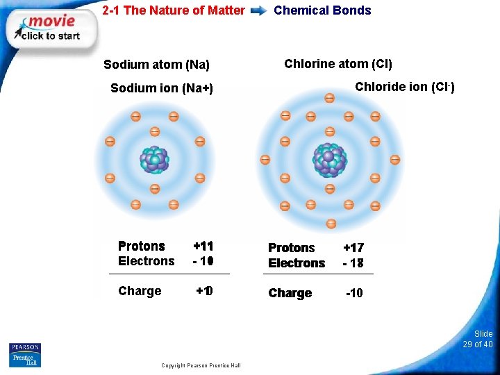 2 -1 The Nature of Matter Sodium atom (Na) Sodium ion (Na+) Chemical Bonds