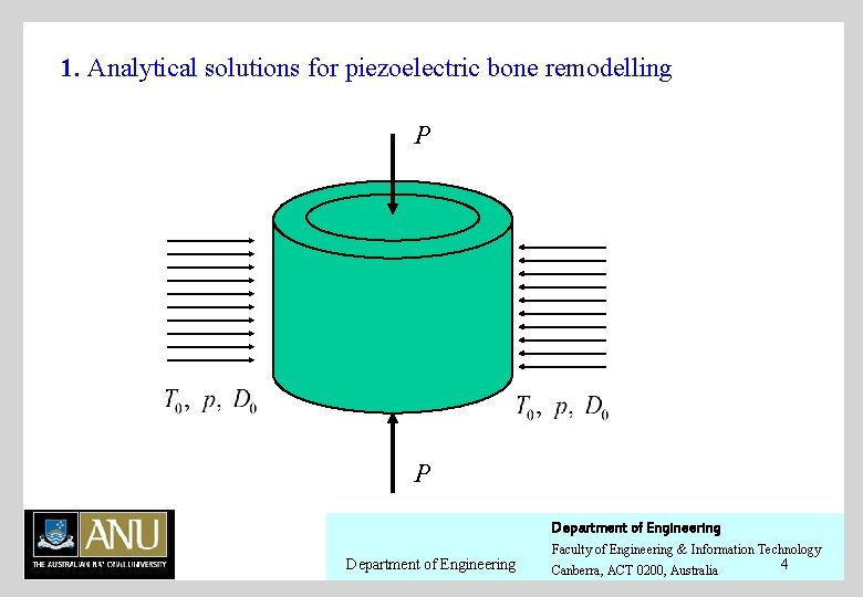 1. Analytical solutions for piezoelectric bone remodelling P P Department of Engineering 11/1/2020 Department