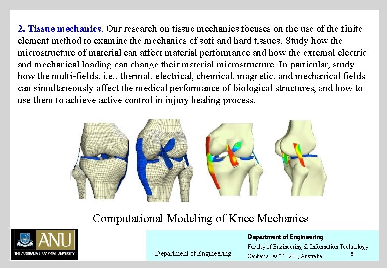 2. Tissue mechanics. Our research on tissue mechanics focuses on the use of the