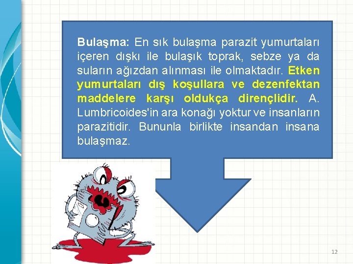 Bulaşma: En sık bulaşma parazit yumurtaları içeren dışkı ile bulaşık toprak, sebze ya da