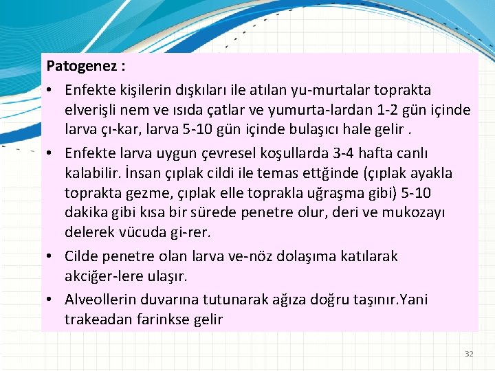 Patogenez : • Enfekte kişilerin dışkıları ile atılan yu murtalar toprakta elverişli nem ve