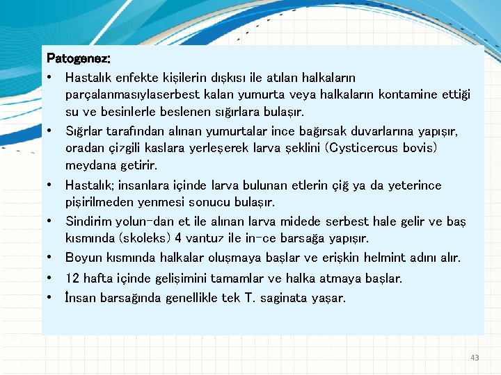 Patogenez: • Hastalık enfekte kişilerin dışkısı ile atılan halkaların parçalanmasıylaserbest kalan yumurta veya halkaların