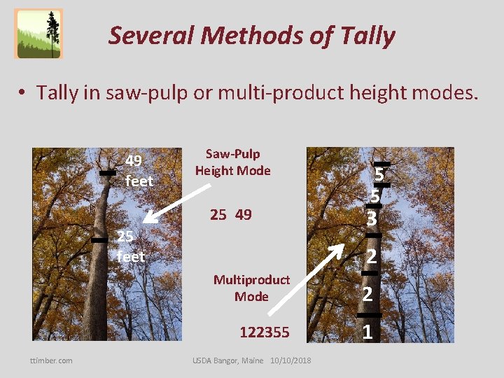 Several Methods of Tally • Tally in saw-pulp or multi-product height modes. 49 feet