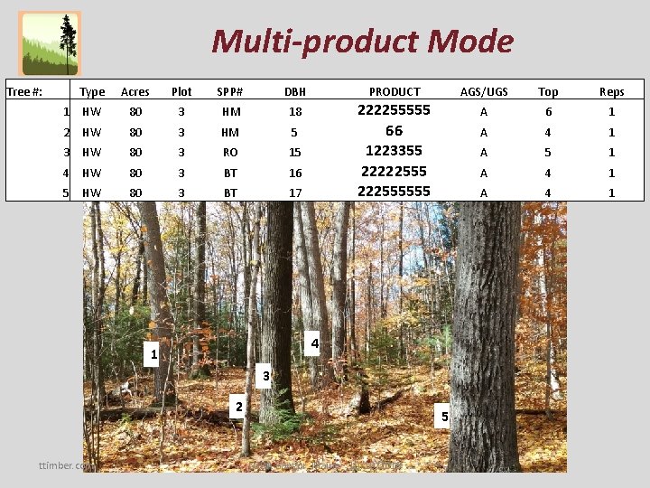 Multi-product Mode Tree #: Type Acres Plot SPP# DBH PRODUCT AGS/UGS Top Reps 1