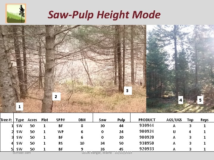 Saw-Pulp Height Mode 3 2 5 4 1 Tree #: 1 2 3 4