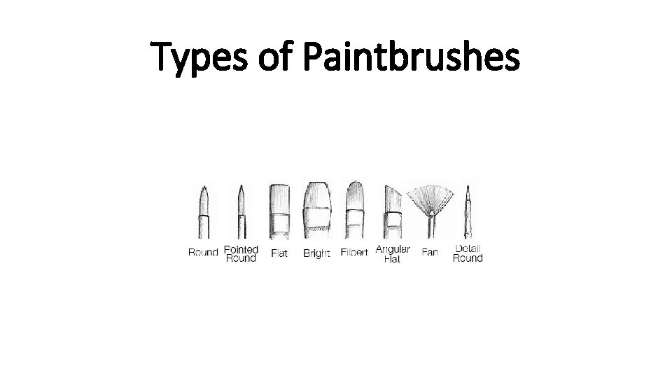 Types of Paintbrushes 