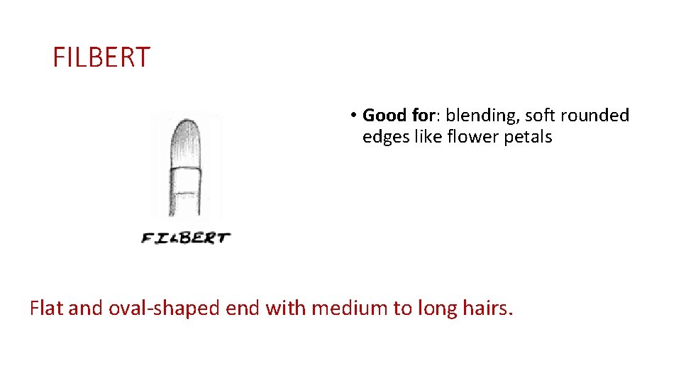 FILBERT • Good for: blending, soft rounded edges like flower petals Flat and oval-shaped