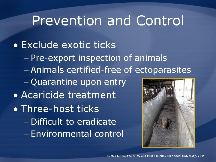 Prevention and Control • Exclude exotic ticks – Pre-export inspection of animals – Animals