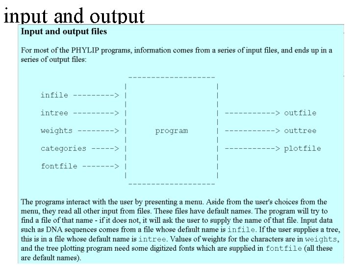 input and output 