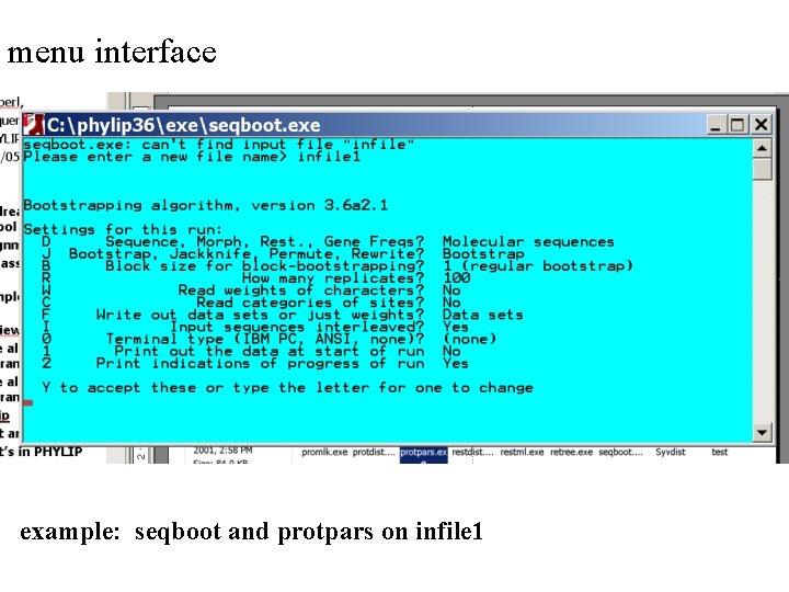 menu interface example: seqboot and protpars on infile 1 