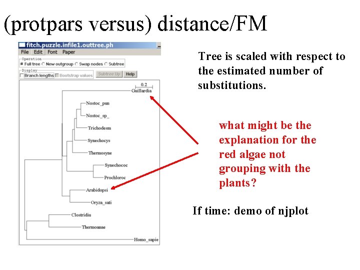 (protpars versus) distance/FM Tree is scaled with respect to the estimated number of substitutions.