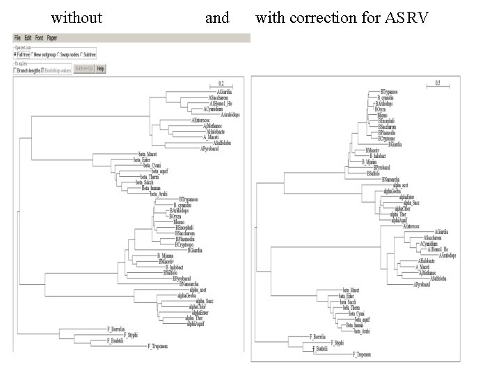 without and with correction for ASRV 