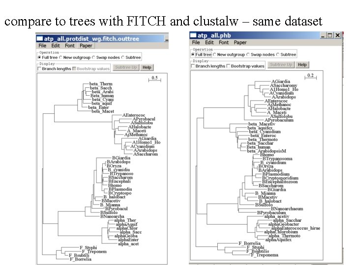 compare to trees with FITCH and clustalw – same dataset 