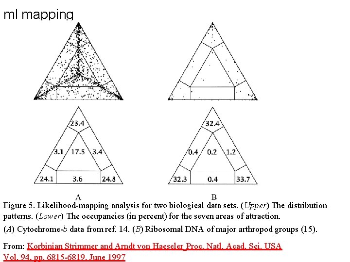 ml mapping Figure 5. Likelihood-mapping analysis for two biological data sets. (Upper) The distribution