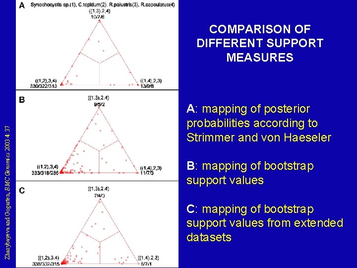 Zhaxybayeva and Gogarten, BMC Genomics 2003 4: 37 COMPARISON OF DIFFERENT SUPPORT MEASURES A: