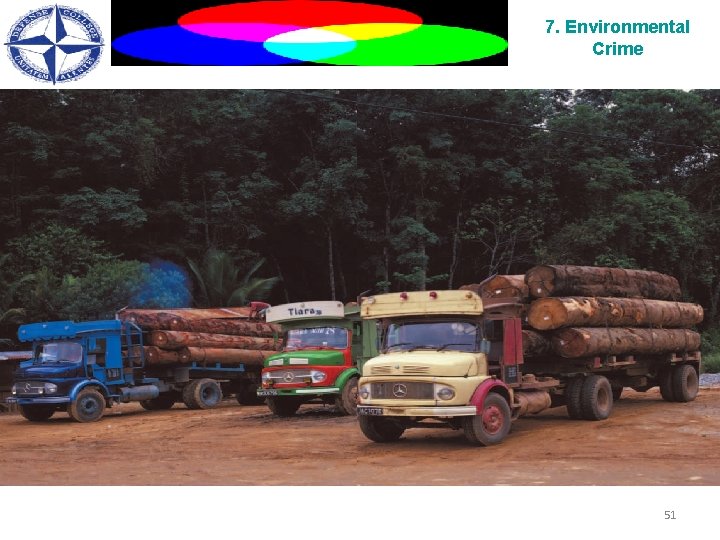 7. Environmental Crime 51 