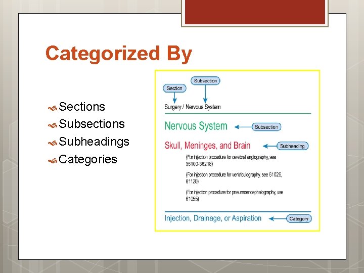 Categorized By Sections Subsections Subheadings Categories 