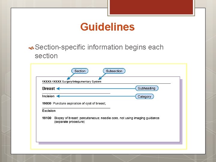 Guidelines Section-specific section information begins each 